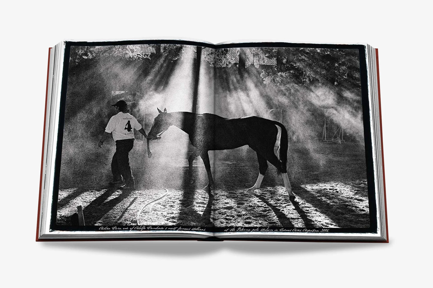 Polo Heritage - Assouline Books