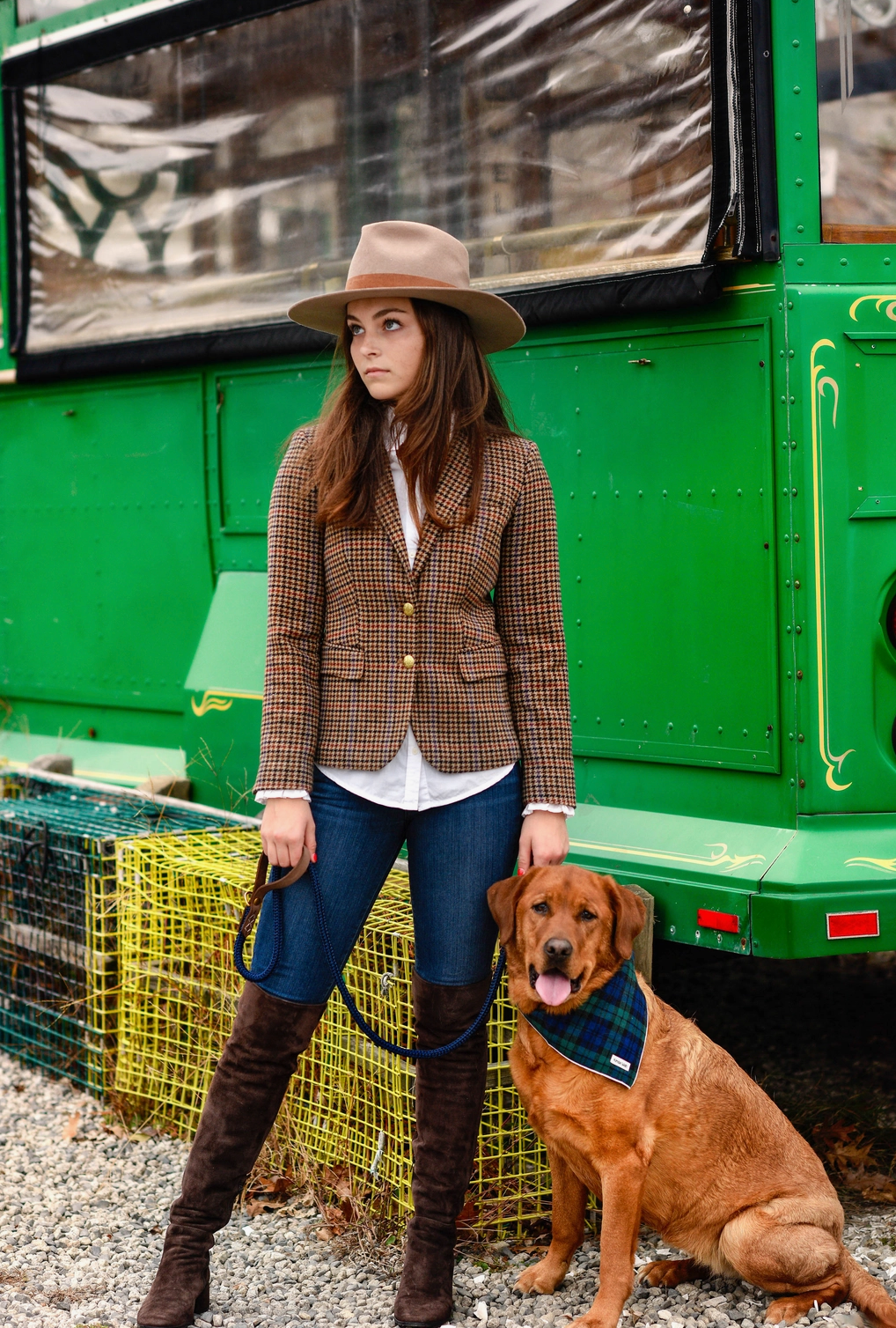 The Green Tartan Flannel Dog Bandana (2 Sizes) - Kendall Wags