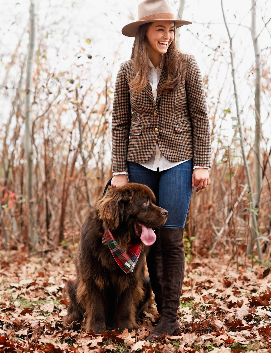 The Red Tartan Flannel Dog Bandana (2 Sizes) - Kendall Wags