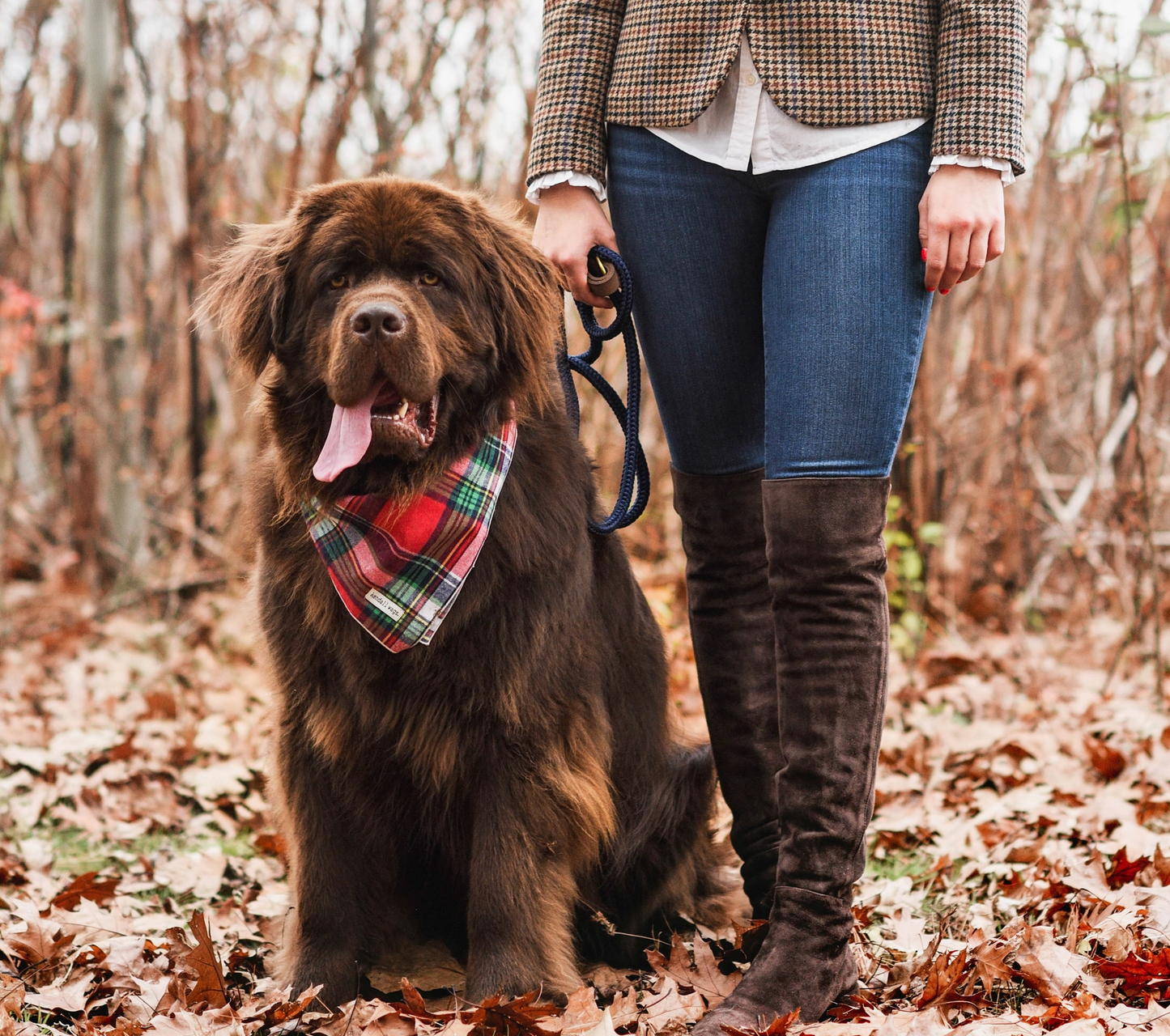 The Red Tartan Flannel Dog Bandana (2 Sizes) - Kendall Wags