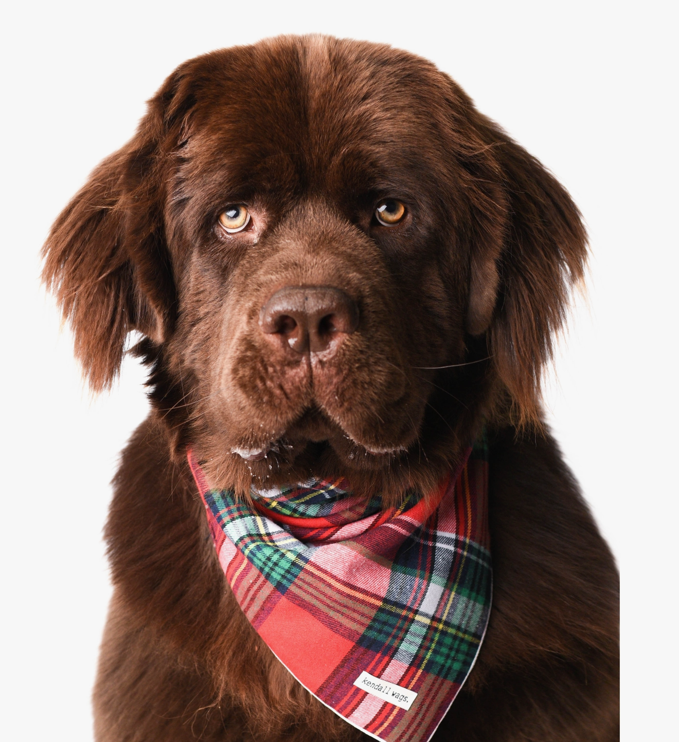 The Red Tartan Flannel Dog Bandana (2 Sizes) - Kendall Wags