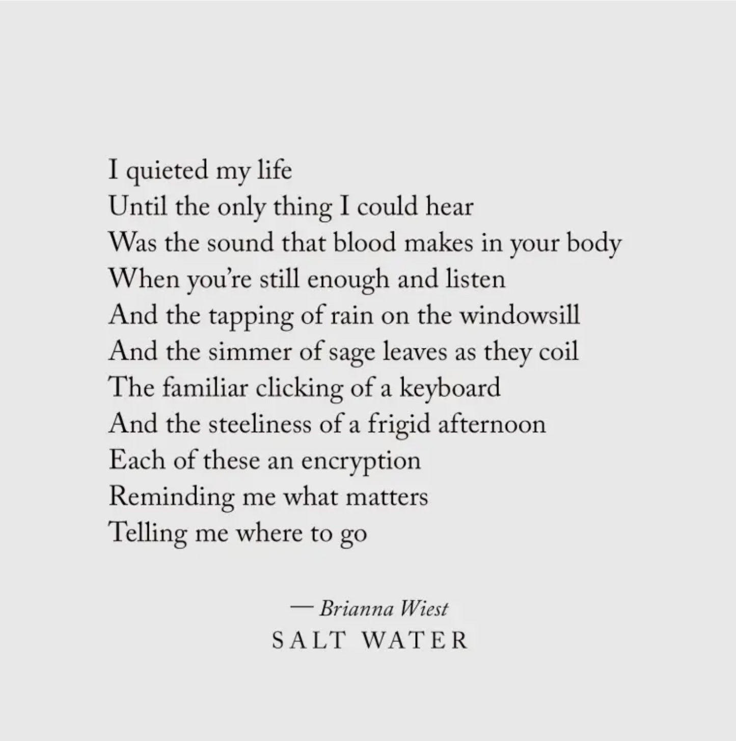 Salt Water Book - Brianna Wiest