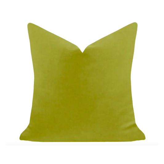 Green 22x22 Solid Velvet Pillow - Laura Park